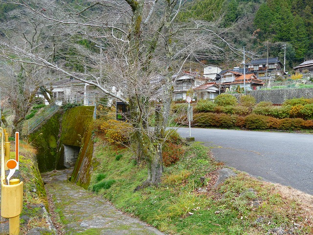 f:id:congiro:20200102164222j:plain