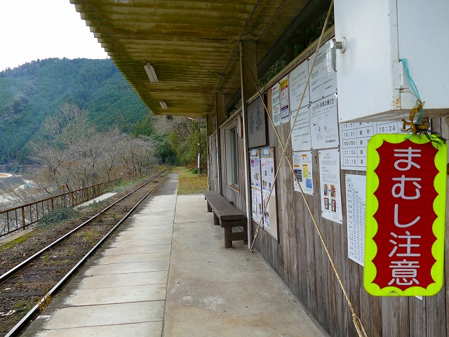 f:id:congiro:20200102164500j:plain