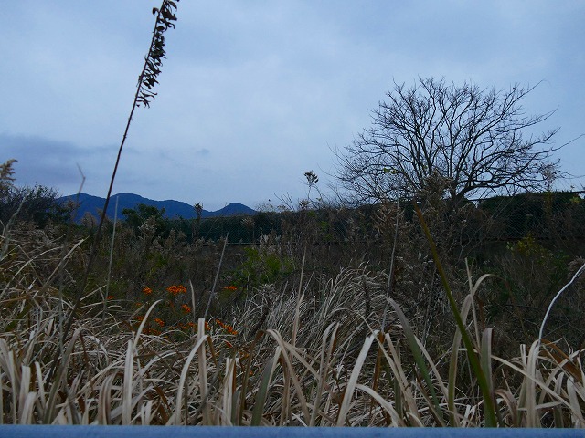 f:id:congiro:20200102164814j:plain