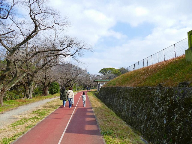 f:id:congiro:20200104014851j:plain f:id:congiro:20200104014851j:plain