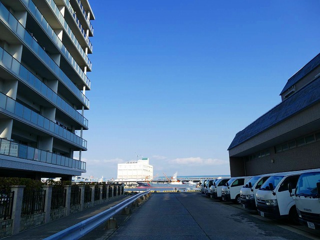 f:id:congiro:20200104015307j:plain f:id:congiro:20200104015307j:plain