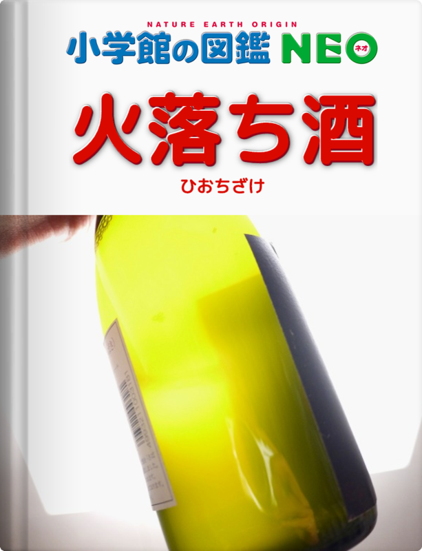 f:id:congiro:20200104182942p:plain