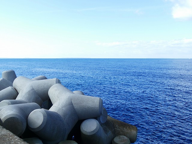 f:id:congiro:20200109012650j:plain f:id:congiro:20200109012650j:plain