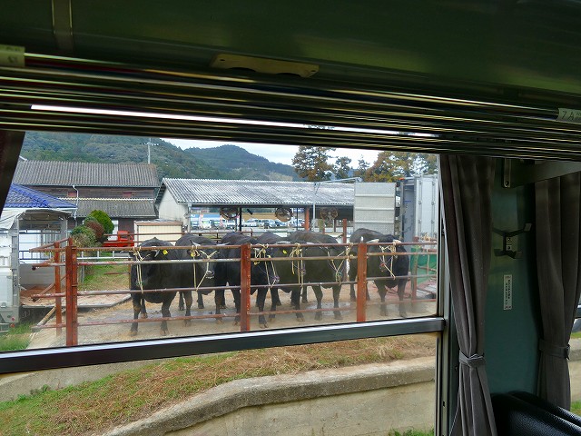 f:id:congiro:20200110004241j:plain