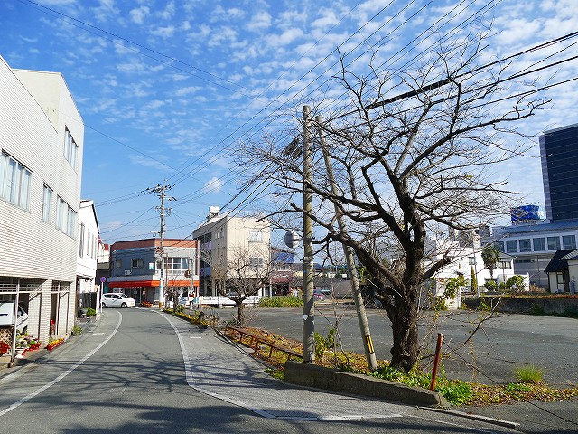f:id:congiro:20200112003235j:plain