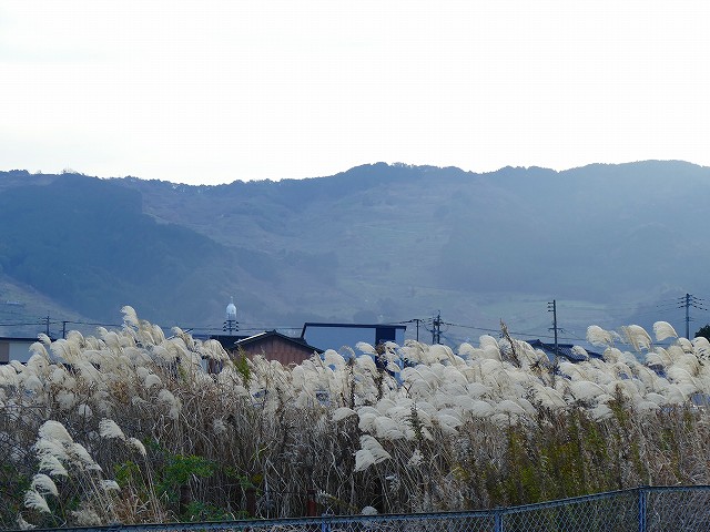 f:id:congiro:20200112004003j:plain