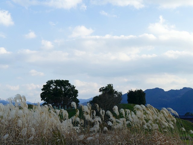 f:id:congiro:20200112004008j:plain