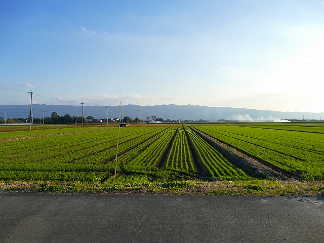 f:id:congiro:20200112004136j:plain