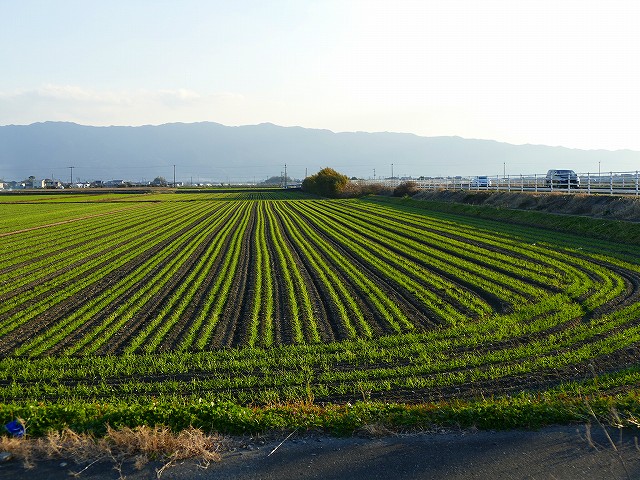 f:id:congiro:20200112004144j:plain