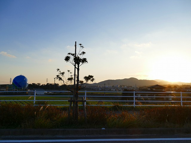 f:id:congiro:20200112004158j:plain