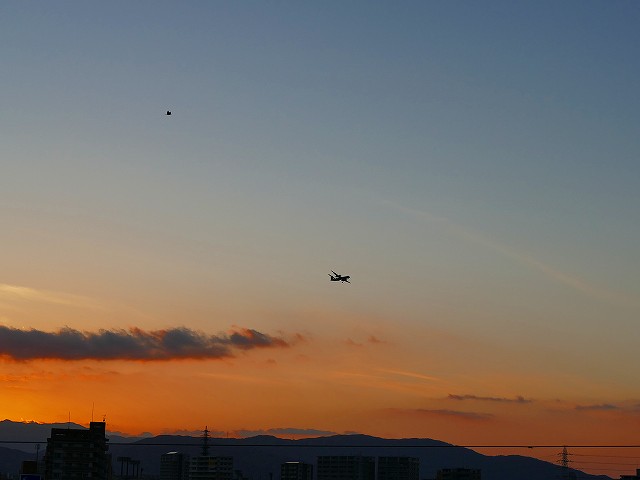 f:id:congiro:20200112004205j:plain