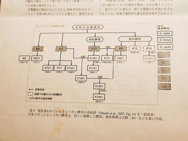 f:id:congiro:20200113224633j:plain f:id:congiro:20200113224633j:plain