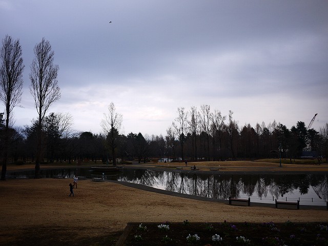 f:id:congiro:20200113235319j:plain f:id:congiro:20200113235319j:plain