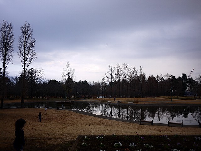 f:id:congiro:20200113235324j:plain f:id:congiro:20200113235324j:plain