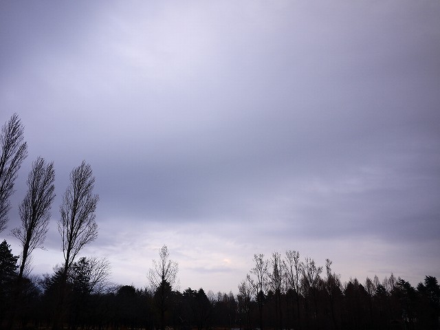 f:id:congiro:20200113235332j:plain f:id:congiro:20200113235332j:plain