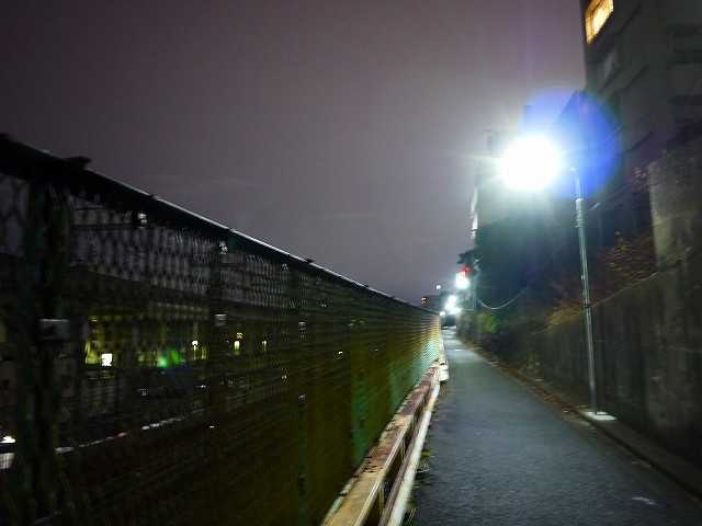 f:id:congiro:20200121020426j:plain