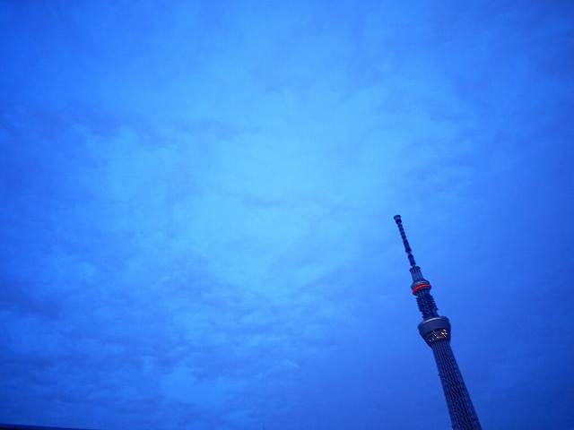 f:id:congiro:20200127023057j:plain f:id:congiro:20200127023057j:plain