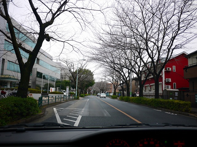 f:id:congiro:20200127023246j:plain f:id:congiro:20200127023246j:plain