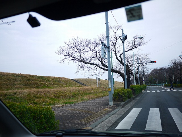 f:id:congiro:20200127023249j:plain f:id:congiro:20200127023249j:plain