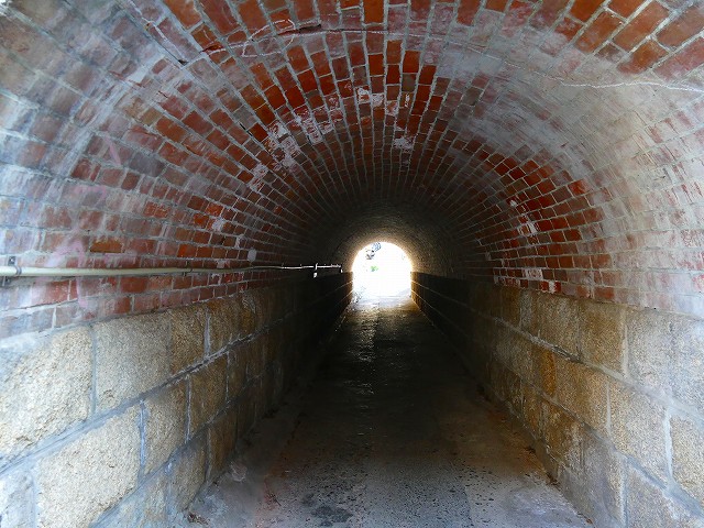 f:id:congiro:20200213231045j:plain f:id:congiro:20200213231045j:plain