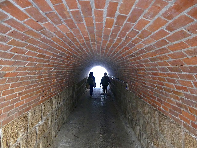 f:id:congiro:20200213231049j:plain f:id:congiro:20200213231049j:plain