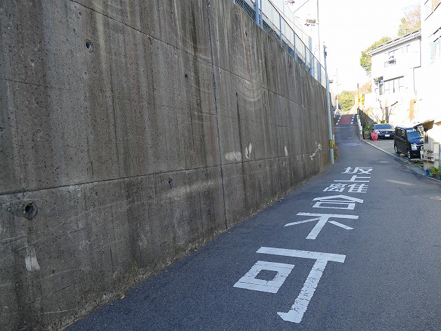 f:id:congiro:20200213231130j:plain f:id:congiro:20200213231130j:plain