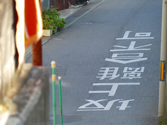 f:id:congiro:20200213231155j:plain f:id:congiro:20200213231155j:plain