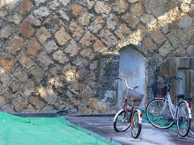 f:id:congiro:20200213231334j:plain f:id:congiro:20200213231334j:plain