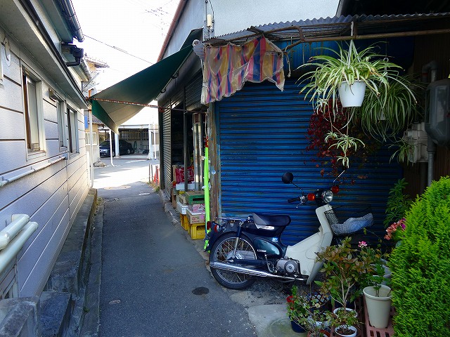 f:id:congiro:20200213231342j:plain f:id:congiro:20200213231342j:plain