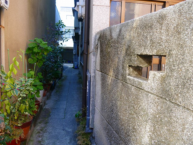 f:id:congiro:20200213231358j:plain f:id:congiro:20200213231358j:plain