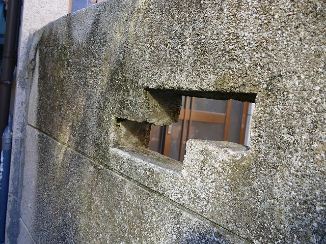 f:id:congiro:20200213231404j:plain f:id:congiro:20200213231404j:plain