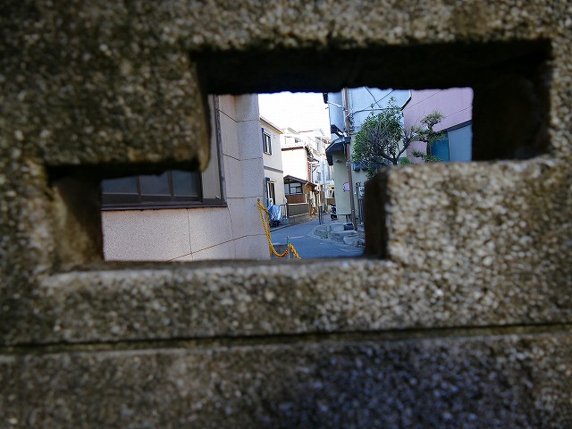 f:id:congiro:20200213231414j:plain f:id:congiro:20200213231414j:plain