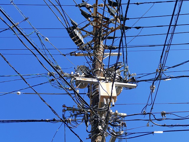 f:id:congiro:20200213231512j:plain f:id:congiro:20200213231512j:plain