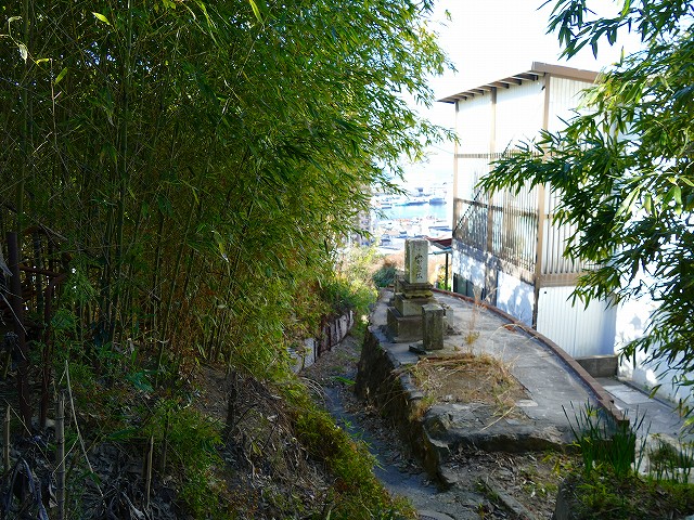 f:id:congiro:20200213231627j:plain f:id:congiro:20200213231627j:plain