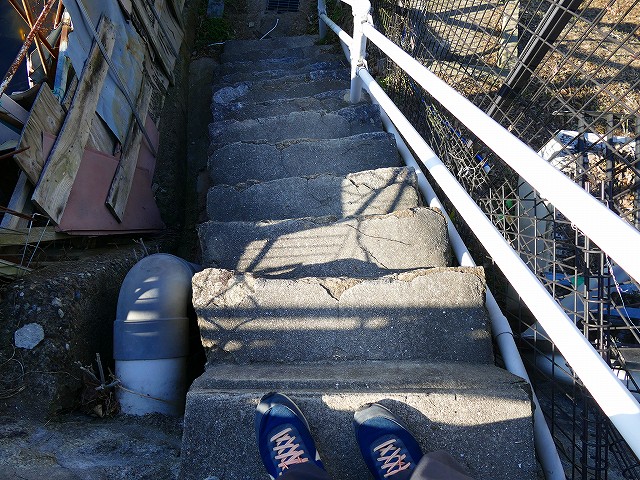 f:id:congiro:20200213231727j:plain f:id:congiro:20200213231727j:plain