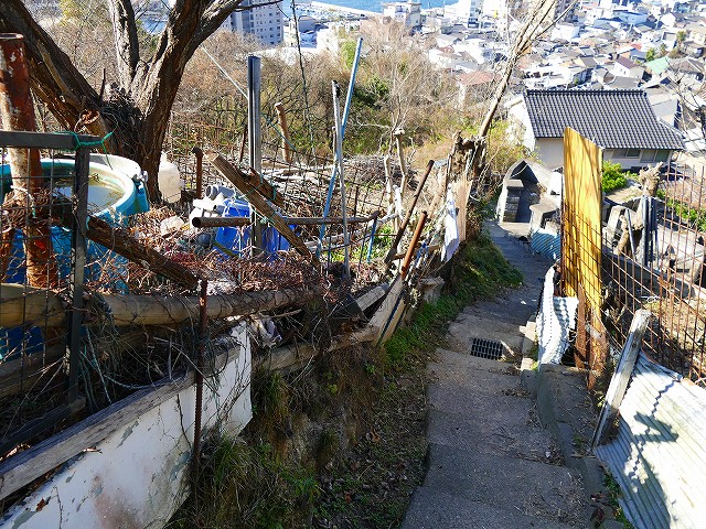 f:id:congiro:20200213231730j:plain f:id:congiro:20200213231730j:plain