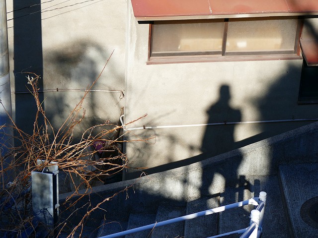 f:id:congiro:20200213231735j:plain f:id:congiro:20200213231735j:plain