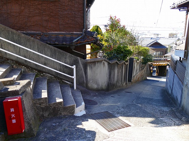 f:id:congiro:20200213231756j:plain f:id:congiro:20200213231756j:plain