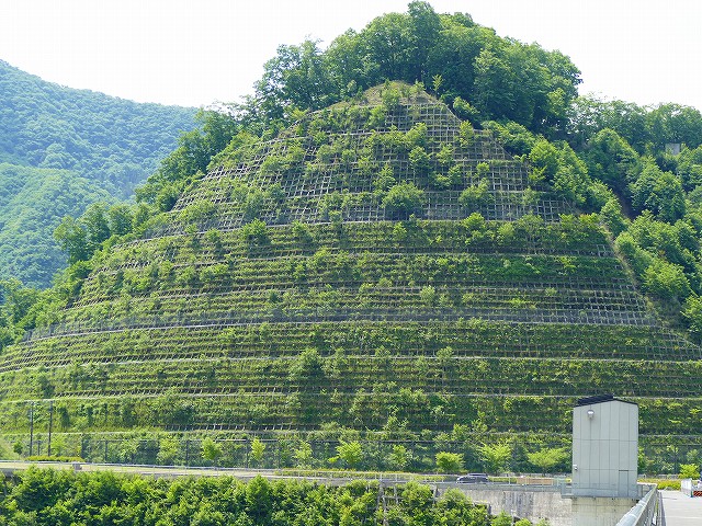 f:id:congiro:20200628235547j:plain