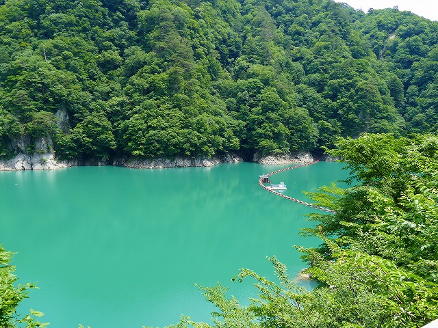 f:id:congiro:20200629000015j:plain