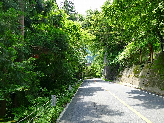 f:id:congiro:20200629000201j:plain