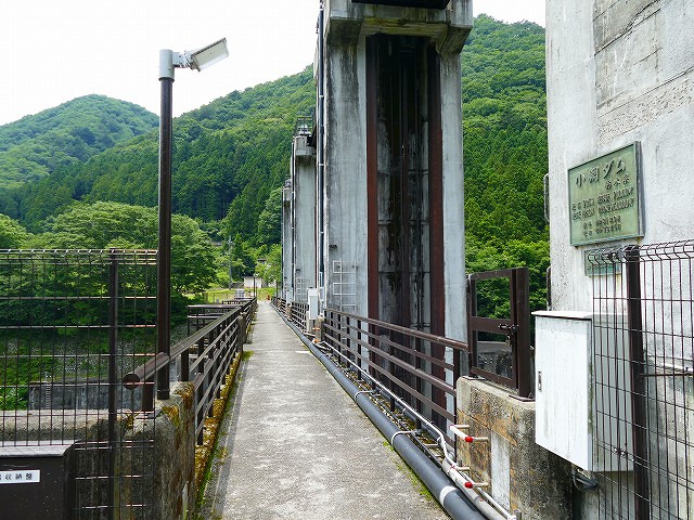 f:id:congiro:20200629000421j:plain