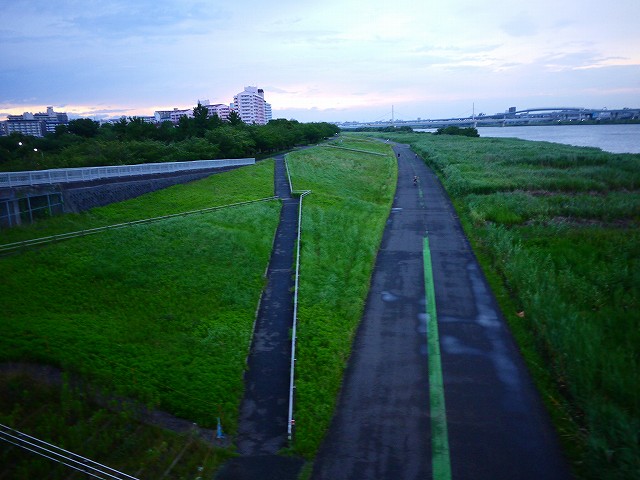 f:id:congiro:20200712233906j:plain