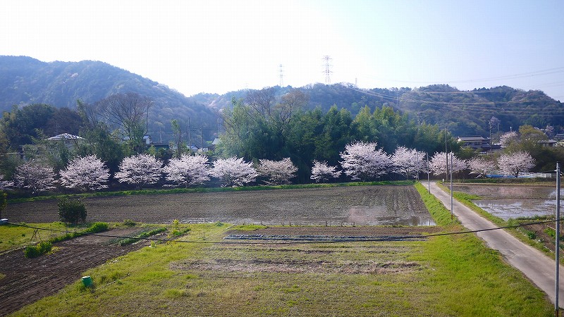 f:id:congiro:20200729232435j:plain