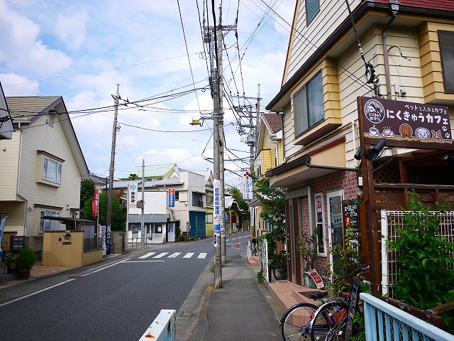 f:id:congiro:20201019002310j:plain