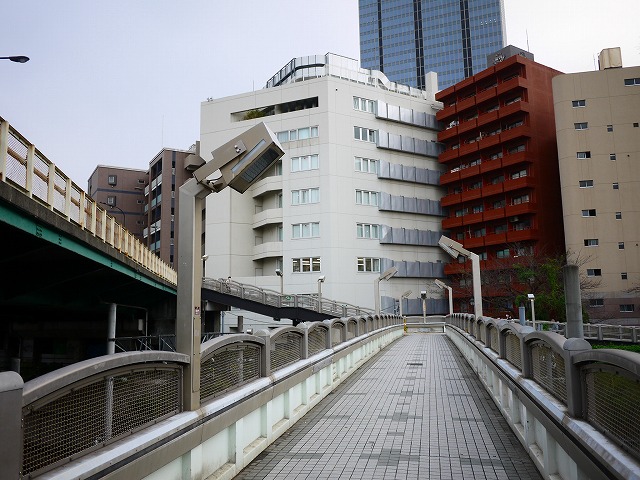 f:id:congiro:20201108204848j:plain