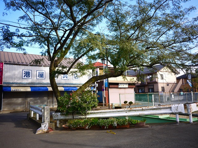f:id:congiro:20201108205036j:plain