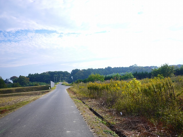 f:id:congiro:20201108205918j:plain f:id:congiro:20201108205918j:plain