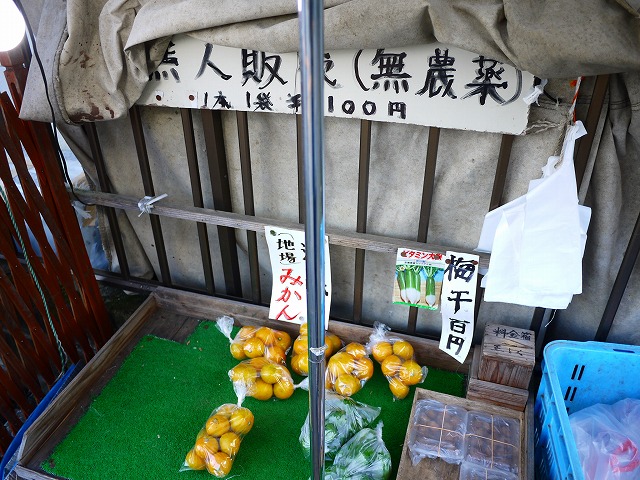 f:id:congiro:20201108210612j:plain