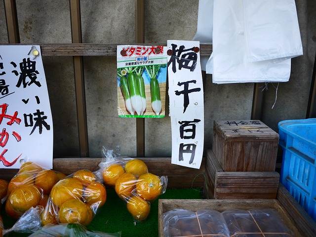 f:id:congiro:20201108210616j:plain